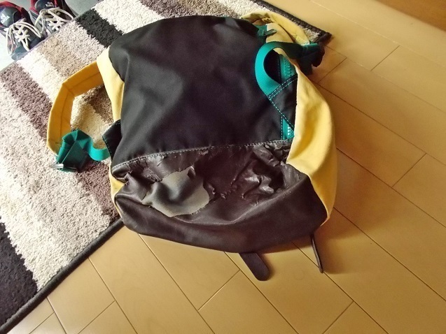 DSCN1830_yabure.JPG