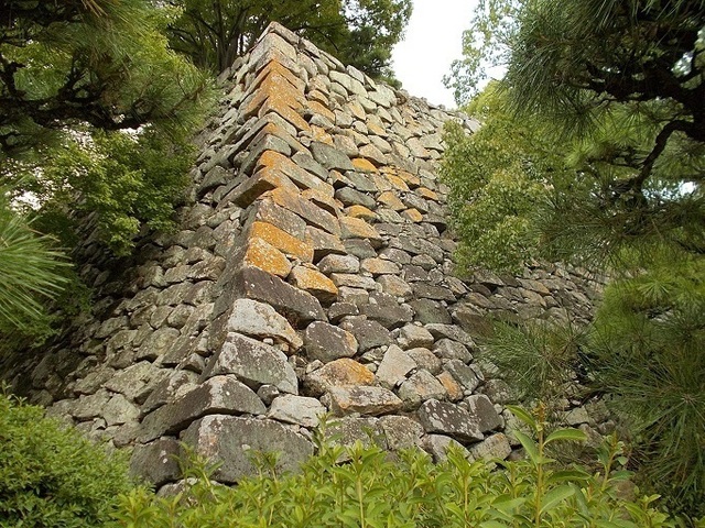 60_DSCN2068_isigaki.jpg