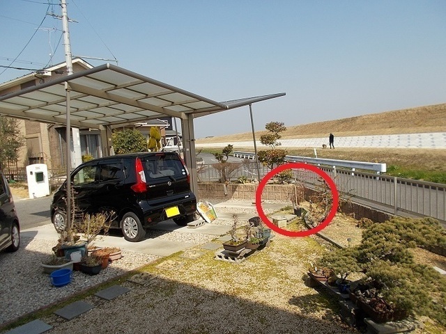 DSCN2399A.jpg