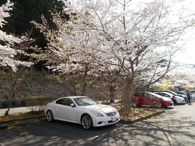 aDSCN3583.jpg