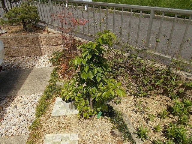 aDSCN3605.jpg