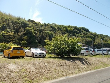 4DSCN5578.jpg