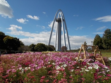 DSCN5065A.jpg