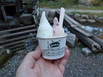 DSCN5083A.JPG