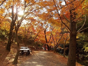 DSCN5184A.JPG
