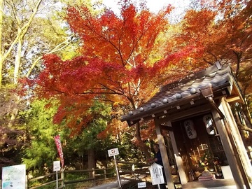 DSCN5190A.JPG