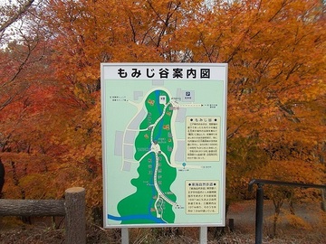 DSCN5197A.JPG