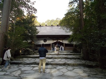 DSCN5208A.jpg