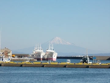 DSCN5268A.jpg