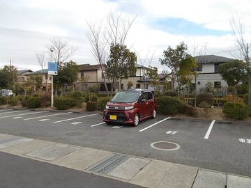 DSCN5334A.jpg