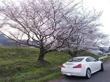 DSCN5457A.jpg