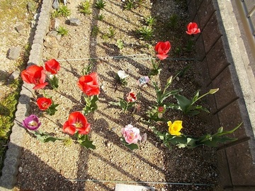 DSCN5534A.jpg