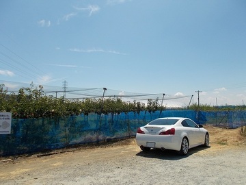 DSCN5816A.jpg