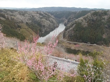 DSCN6062A.jpg