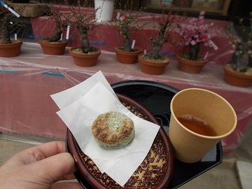 DSCN6066A.jpg