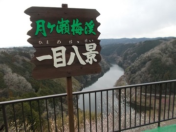 DSCN6068A.jpg