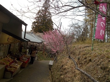 DSCN6074A.jpg