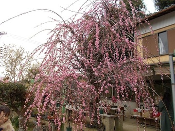 DSCN6078A.jpg