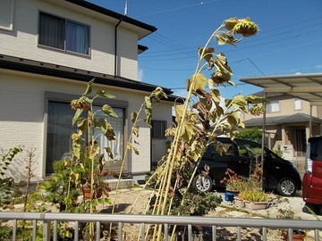 ZZDSCN4892.jpg