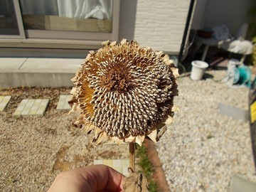 ZZDSCN4895.jpg
