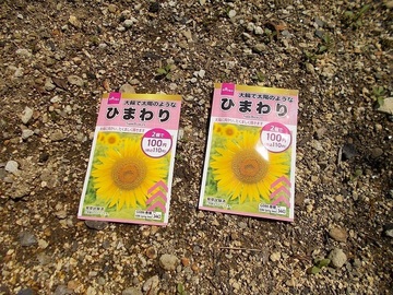 aDSCN4651.jpg