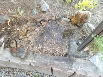 zDSCN4972.jpg